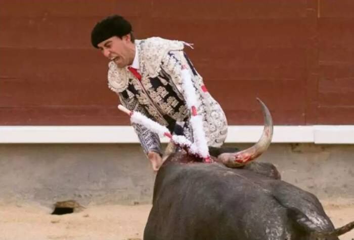 O toureiro espanhol Marco Galan perdeu o testículo durante a tourada
