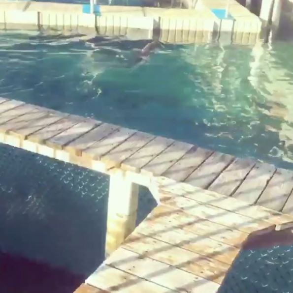 Além de muita praia, os dois puderam ficar pertinho de golfinhos. Felipe Franco até tentou registrar um dos saltos desses adoráveis animais, mas não teve sucesso.
— Vai, golfinho, pula agora. Poxa, só porque eu queria que ele pulasse não pula, mano...
+ Dez fatos provam que a vida do cachorrinho de Juju Salimeni é melhor que a sua
+ As Pragas do Legendários! Juju Salimeni e Hulk Magrelo jantam pizza de grilo: "Senti a perninha"
+ Assista às íntegras do Legendários no R7.com/Play!