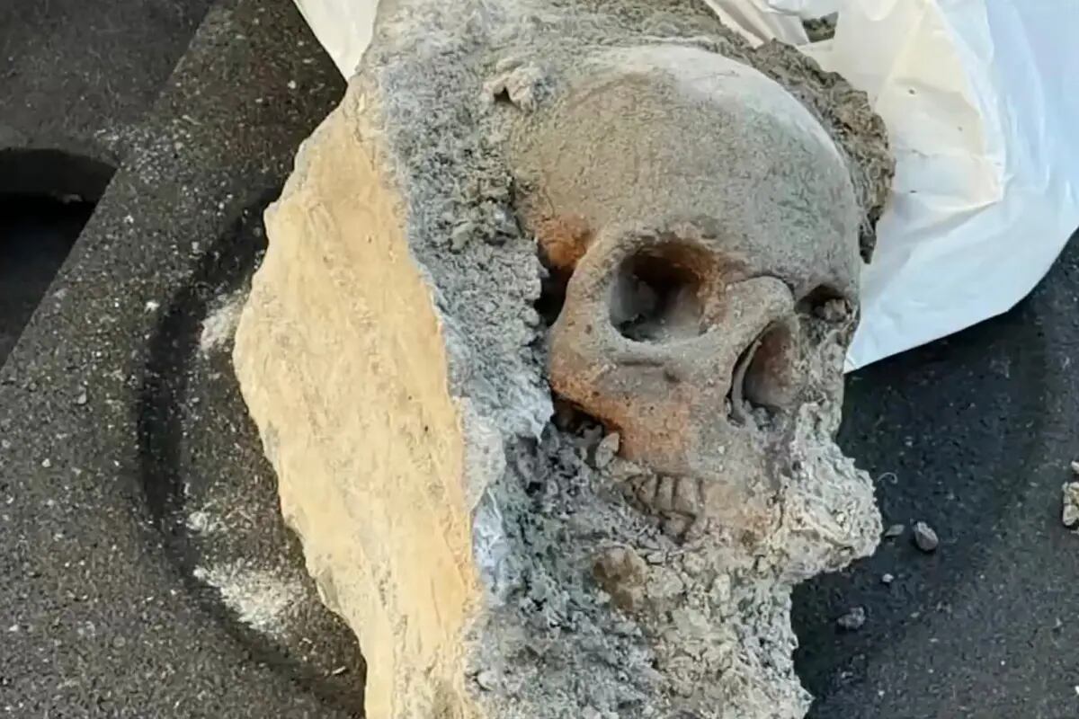 Trabalhadores disseram que 'não conseguiam acreditar no que estavam vendo' e acionaram a polícia