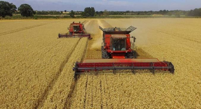 Colheita de soja deve puxar o crescimento do setor