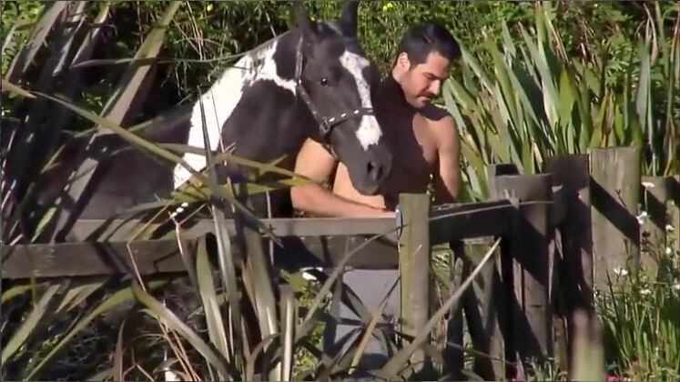 Já Shayan, além da facilidade no trabalho rural, também criou um carinho especial por Colorado. O iraniano adorava ser escolhido para o trato do cavalo e lidava super bem com os cuidados ao animal! Ele realizava bem as tarefas e brincava com Colorado. Além do cavalo, Shayan se deu muito bem cuidando dos porquinhos!
