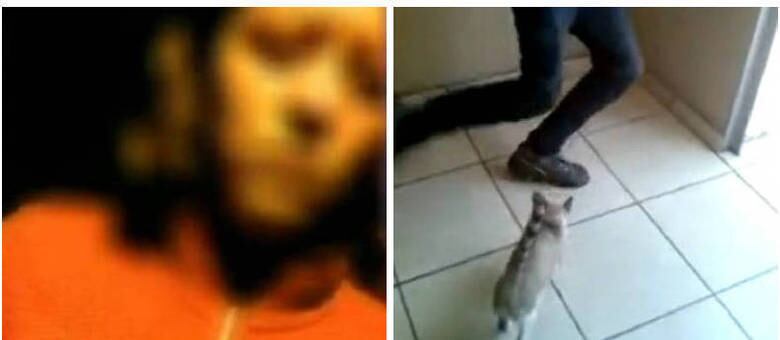 Em São Paulo, uma jovem foi torturada e as imagens foram compartilhadas por mais de 10 mil pessoas; em outro vídeo publicado no Facebook, um gato é chutado com força por um rapaz