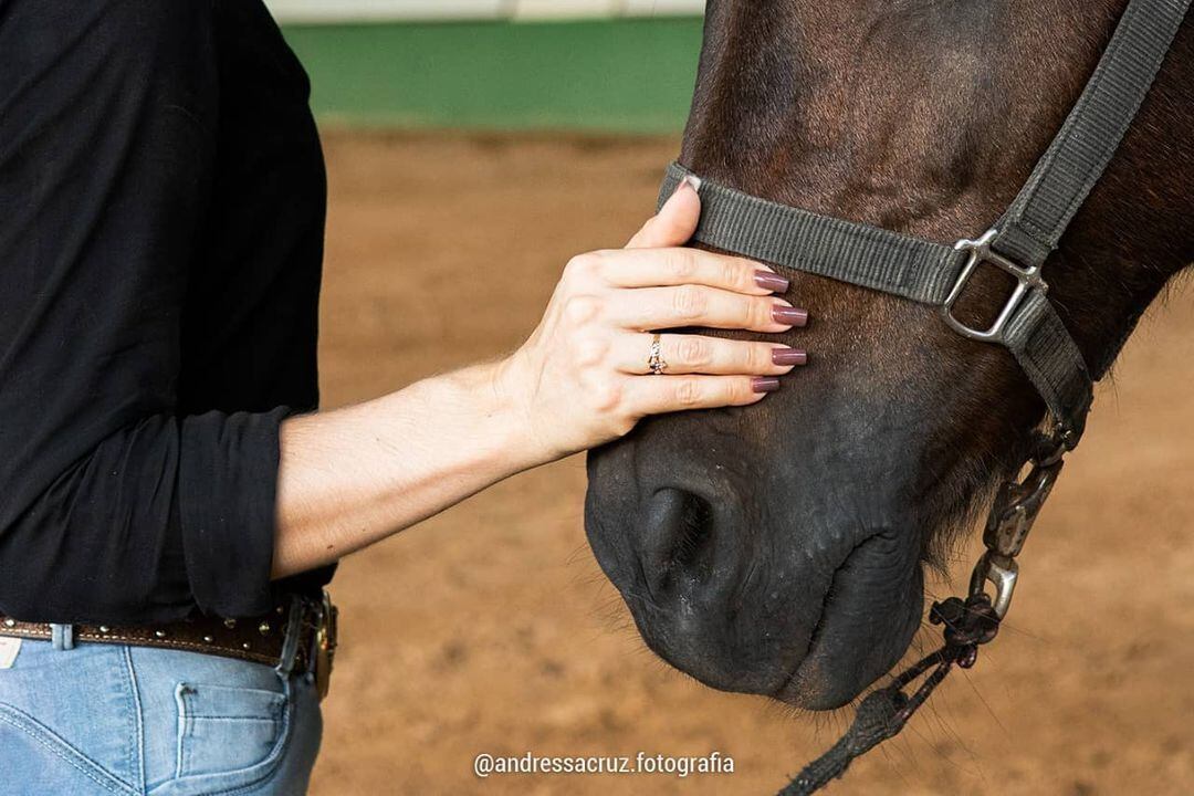 Terapia com cavalos ajuda a o desenvolvimento de pessoas com necessidades especiais