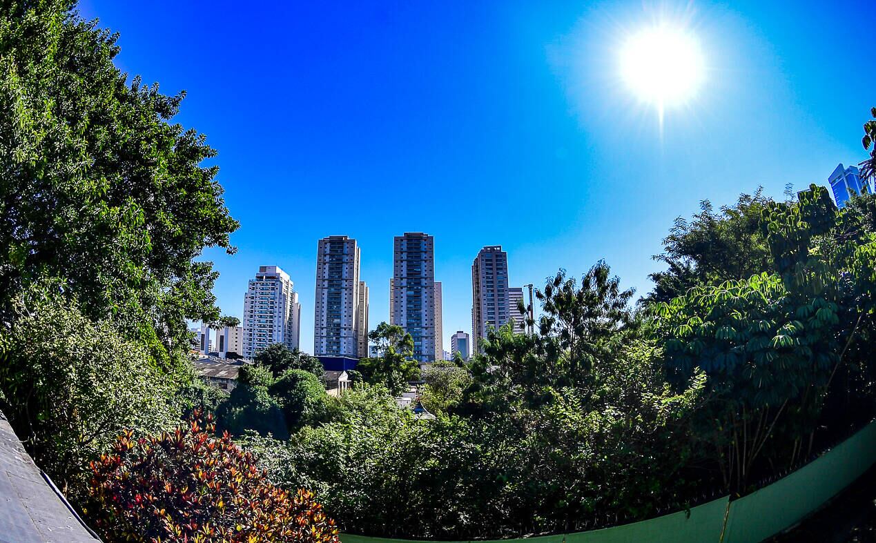 Área verde em terreno que abrigava o Playcenter