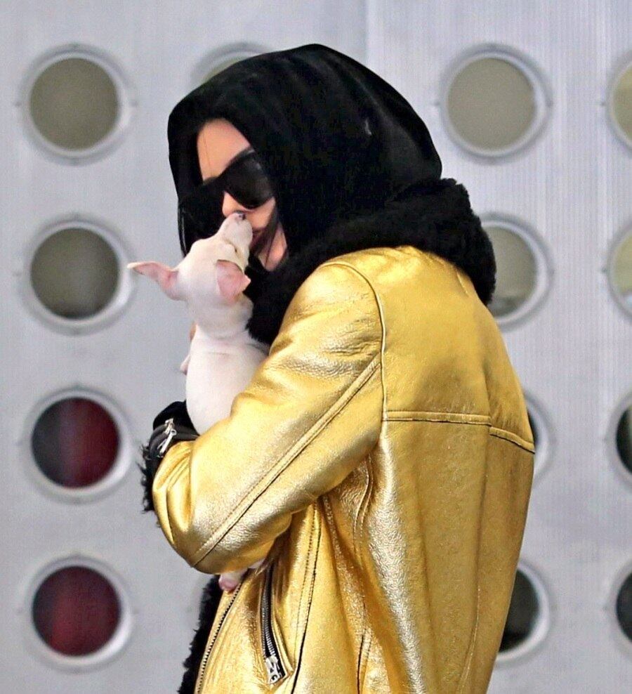 O filhote foi presente de Natal de Kylie Jenner, irmã de Kendall