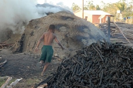 OIT diz que 160 milhões de crianças trabalham em todo o mundo