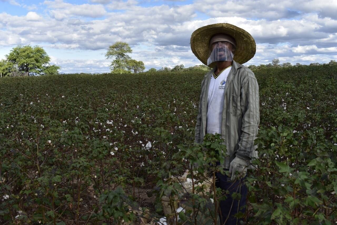 Associação distribui proteção a agricultores que seguem trabalhando na pandemia
