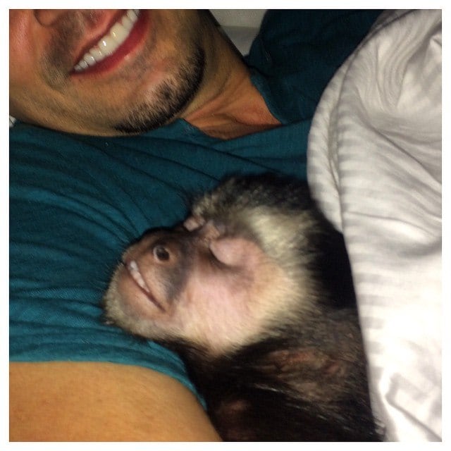 Colo
Ele tem o colo do Latino quando quiser! Que sorte, hein? 

+ Veja os melhores cliques de Mionzinho se divertindo nos bastidores do Legendários
+ Juju Salimeni posar sem maquiagem e mostra que é linda de qualquer jeito
+ Não é só frango e batata-doce! Descubra o que Marcos Mion come quando sai da dieta
+ Antes da dieta e da musculação... Poses e carões marcam infância e adolescência de Juju Salimeni
