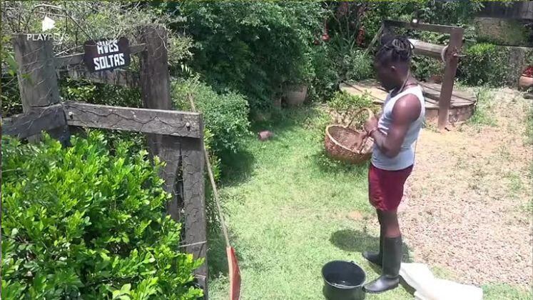 Outro peão que se superou a cada dia foi Pelé! O rapper assumiu que temia os bichinhos antes mesmo de Deolane o colocar para fazer o trato das aves. No início, ele pedia ajuda aos peões da Baia para recolher os ovos das galinhas, mas no terceiro dia o peão estava conseguindo fazer o trabalho! No quarto dia ele conseguiu, inclusive, segurar uma ave! Com o passar dos dias, Pelé foi ficando menos temeroso e conseguindo realizar o trato cada vez com mais coragem 