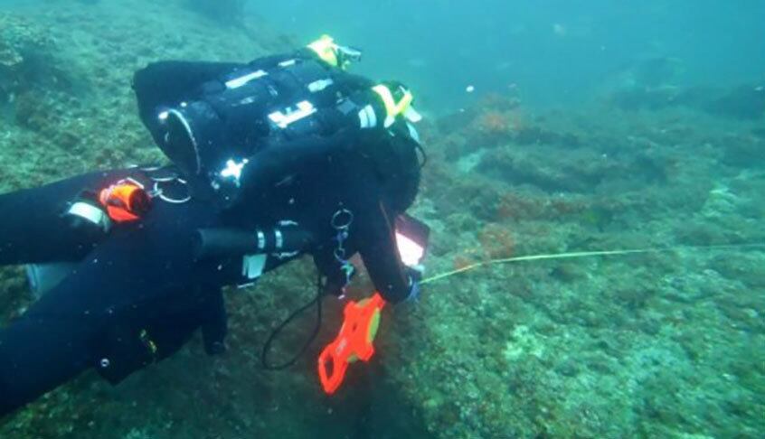 A descoberta foi feita por biólogos marinhos e anunciada no Science Channel. Um dos pesquisadores declarou que a primeira parte do trabalho, analisando registros em bibliotecas, foi demorada, mas fundamental para informações que comprovassem o achado.