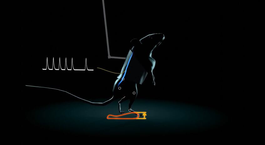 Apesar da dificuldade, os ratos que participaram do teste conseguiram andar e até subir escadas com a ajuda do colete e os resultados foram bastante positivos