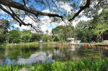 Funcionários do parque denunciaram o abuso
