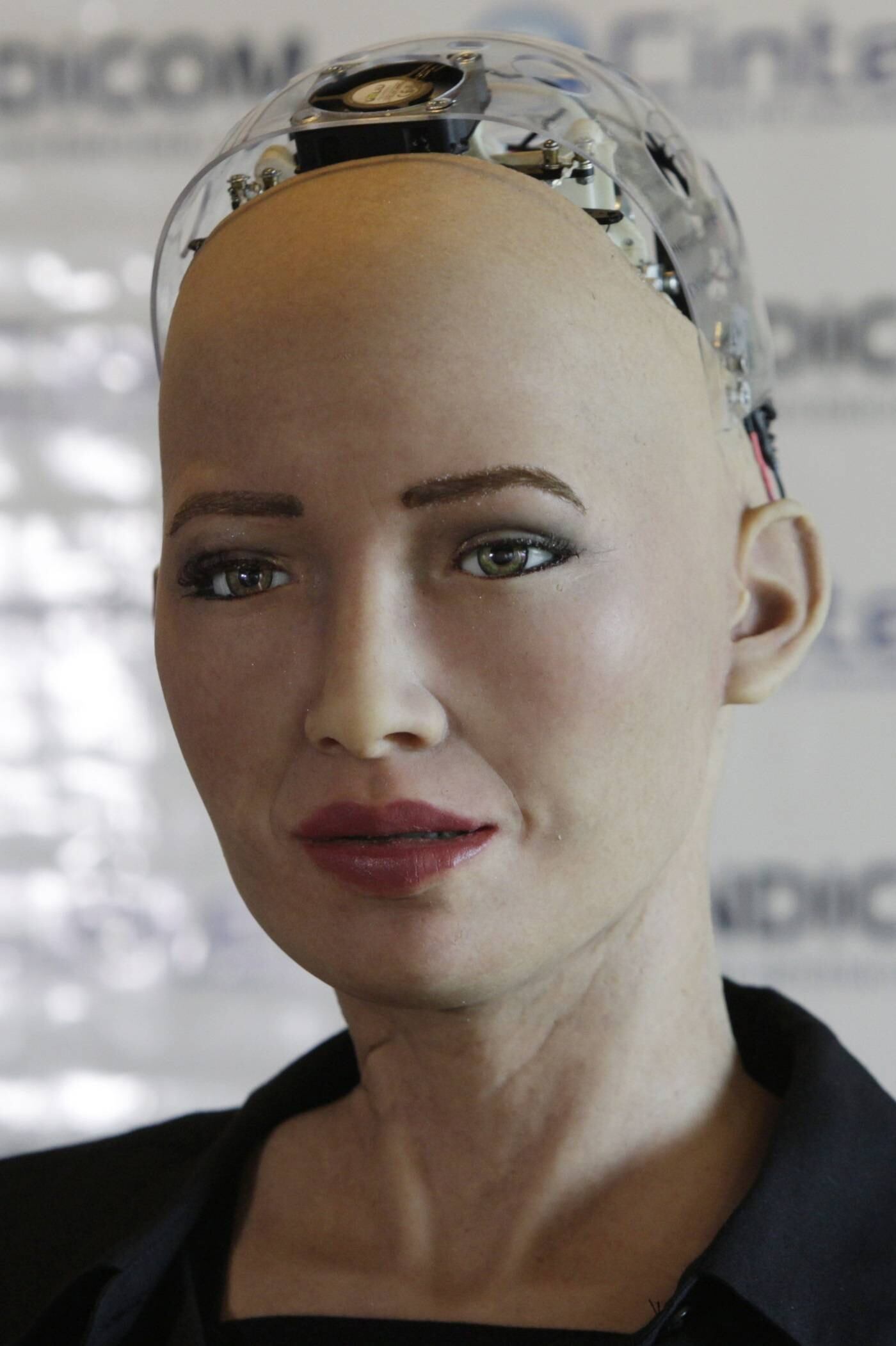 A robô já discursou na Assembleia das
Nações Unidas, foi capa da revista de moda Elle e concede diversas
entrevistas à imprensa internacional


Leia também: Facebook: conheça os atalhos e não perca tempo procurando por emojis