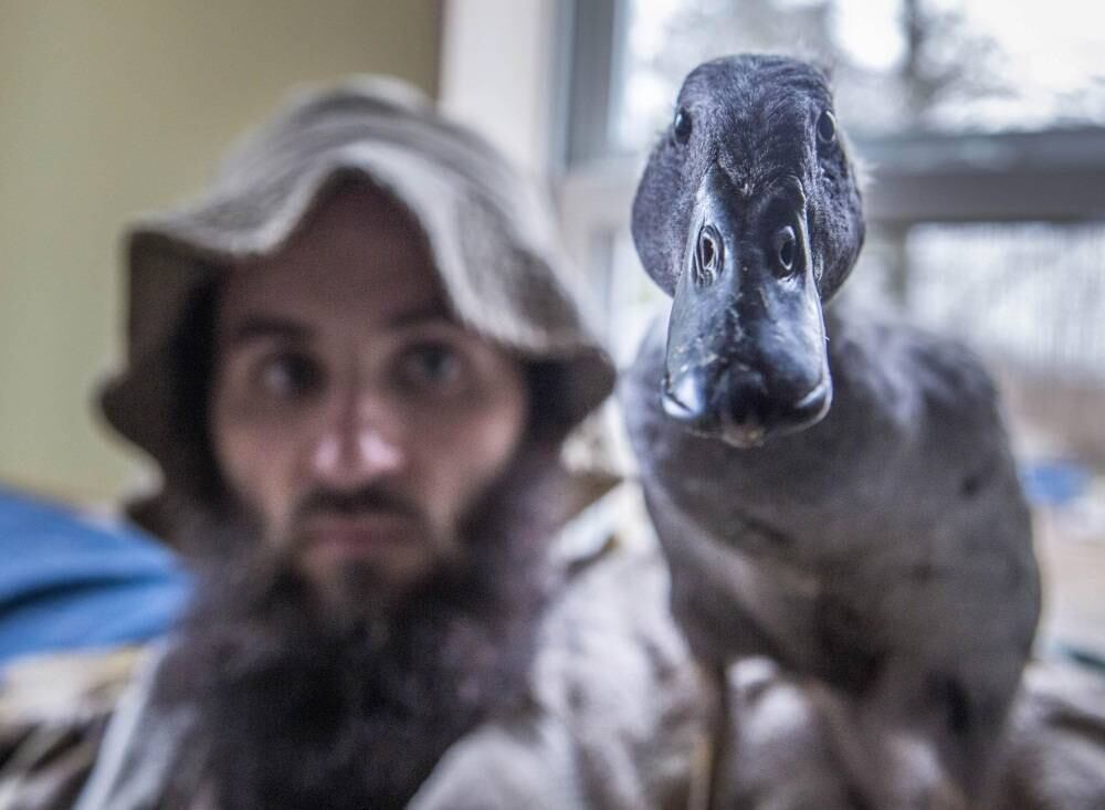 

Brian
Doss tem 33 anos e é um ex-tratador de animais, o que explica sua facilidade em
perceber qual seria a melhor forma de criar o animal

