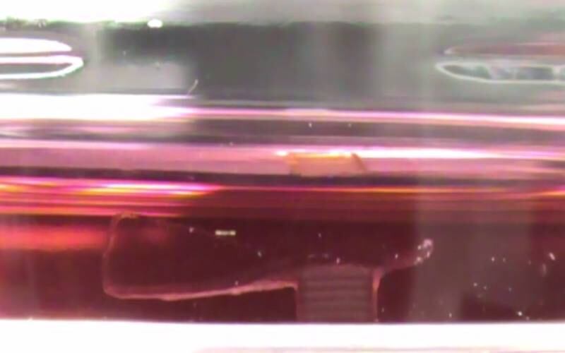 Chamados de Bio-bots, o primeiro projeto foi construído movido com células do tecido do coração, mas, como os batimentos do órgão não podem ser controlados, os pesquisadores resolveram recorrer a células musculares