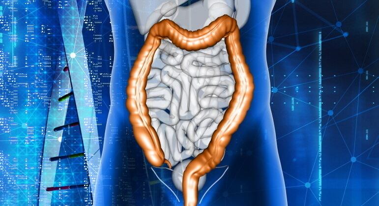 Intestino é repleto de bactérias e micro-organismos