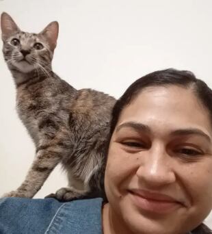 Stephanie encontrou sua gata Sarabi morta, presa dentro do aparelho