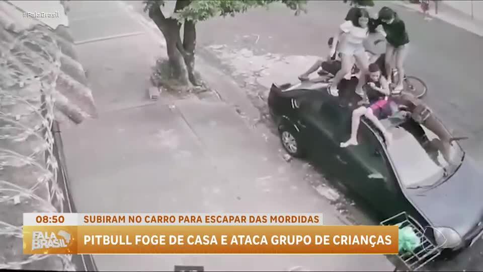 Crianças que subiram em teto de carro para fugir de pitbull descrevem momentos de pânico