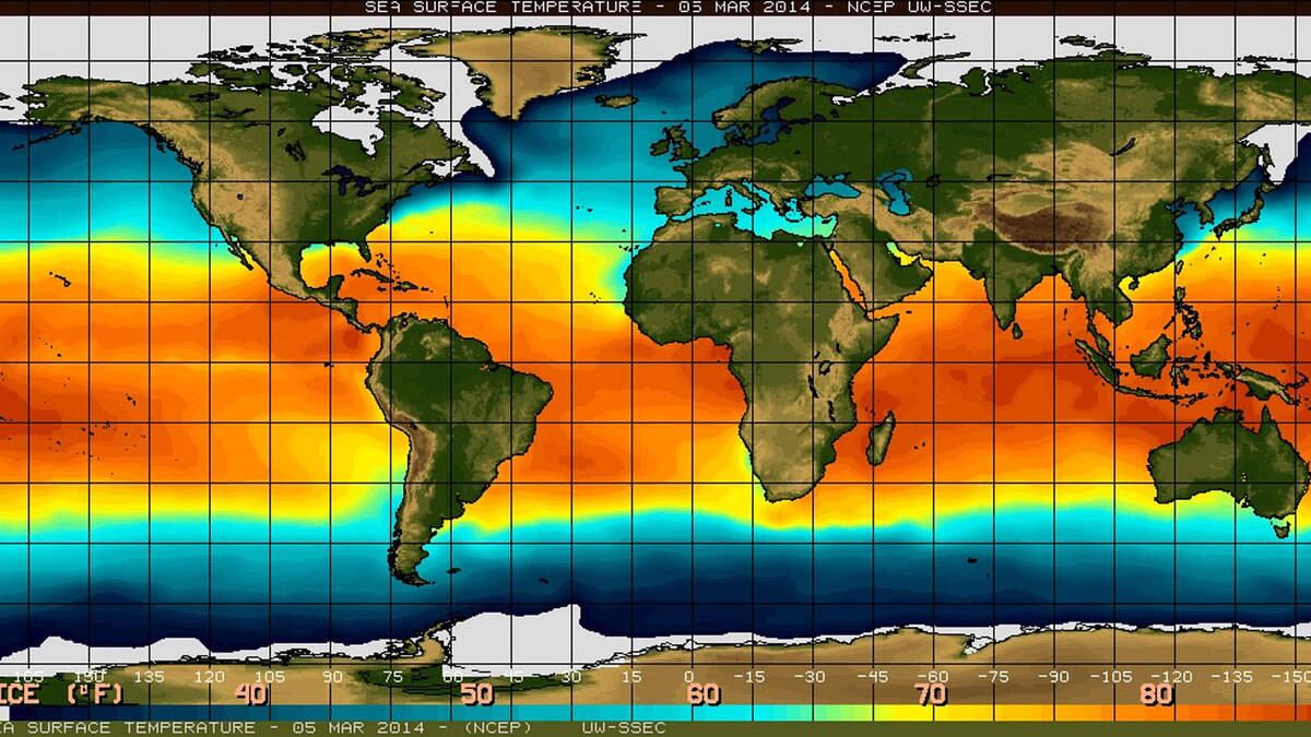 Recentemente, o Bureau de Meteorologia revisou suas previsões sobre o evento e ainda não há certeza de que ele possa acontecer. No último mês, havia uma previsão de 70% de chance para um padrão de El Niño se desenvolver