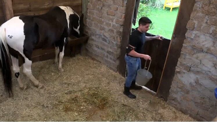 Conversa ao pé do ouvido

Enquanto uns cantam, outros conversam. Lucas iniciou as tarefas com muito alto astral! O peão desceu animado à área dos animais e logo estabeleceu um papo com Colorado. O coach perguntou como estavam os dias o animal na sede e aproveitou para contar a sua experiência no reality rural