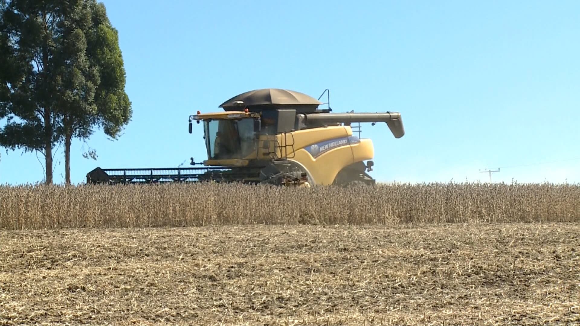 Preço da soja sobe devido ao aumento das alíquotas de exportação na Argentina