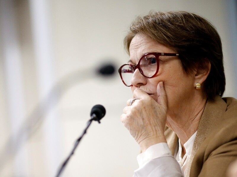 'Estamos tentando antecipar Plano Safra para dar um horizonte ao produtor', disse Tereza