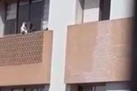 Cachorro preso do lado de fora de apartamento