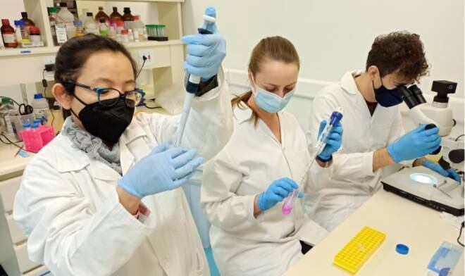 Pesquisadores trabalham no laboratório do Instituto Butantan