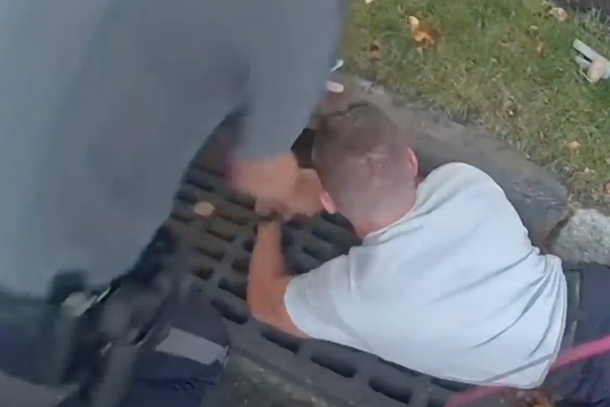 Vídeo divulgado mostra o momento em que a cadela é içada e entregue à dona