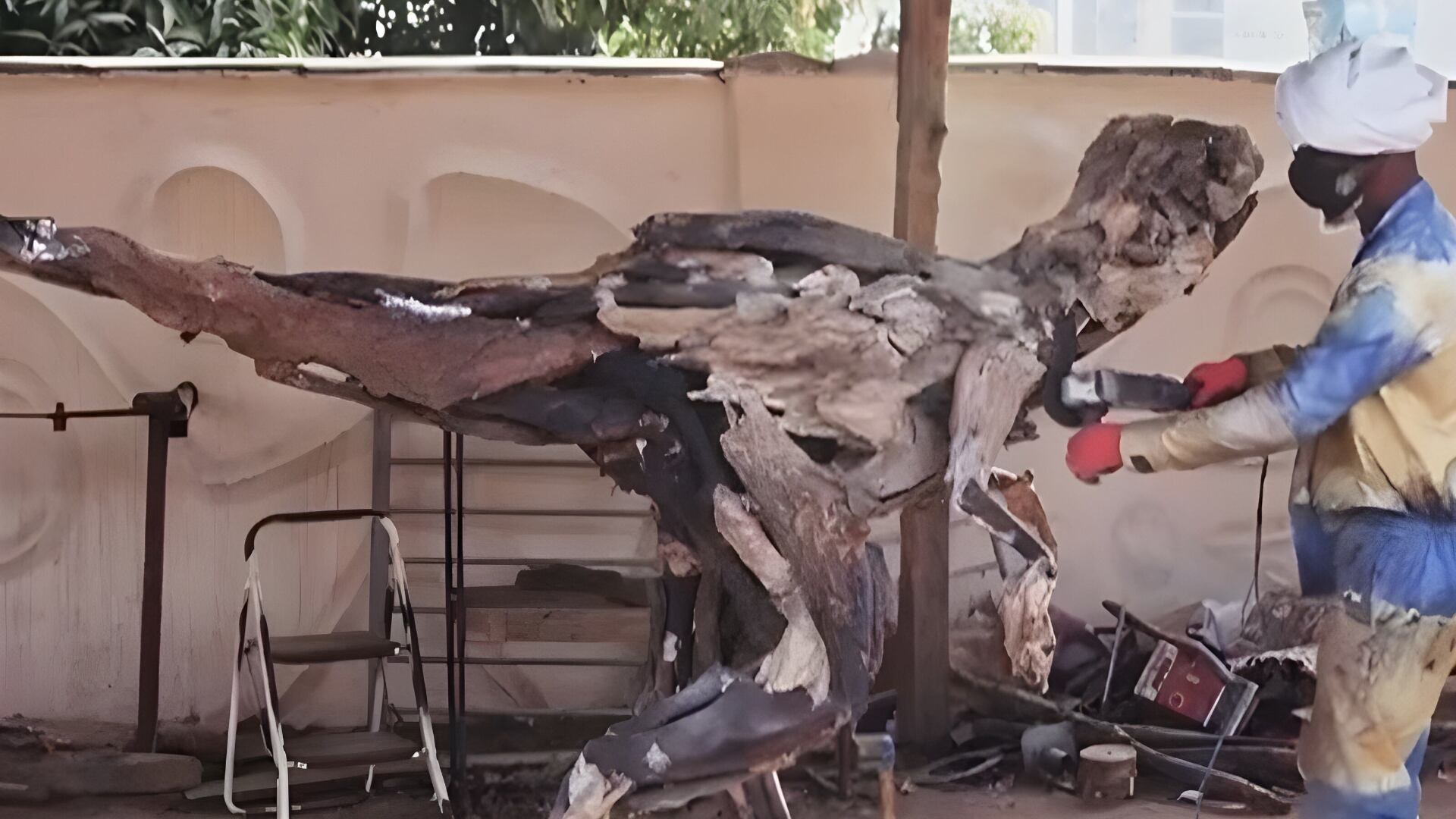 Artista transforma troncos de árvore descartados em esculturas que resgatam a cultura da Nigéria