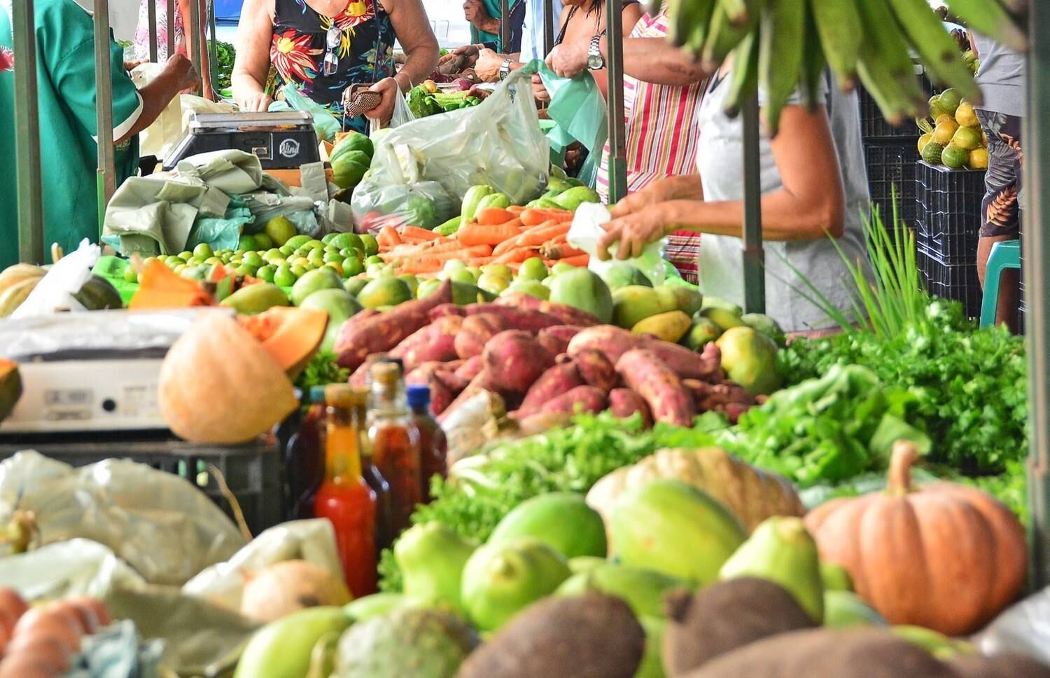 Alimentos, Feira, Cecaf, Comida, Verduras, Hortis, Legumes