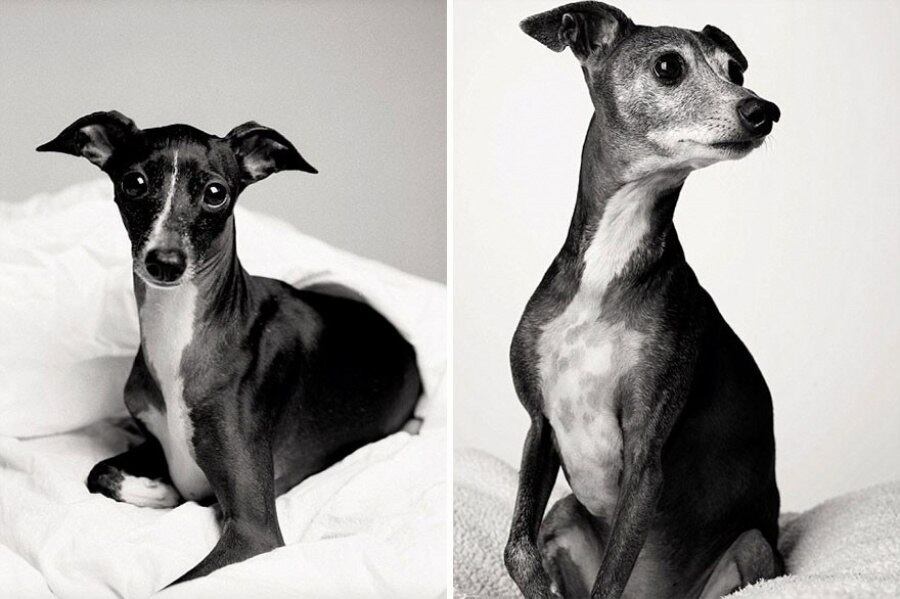 Audrey, com três anos e 12 anos