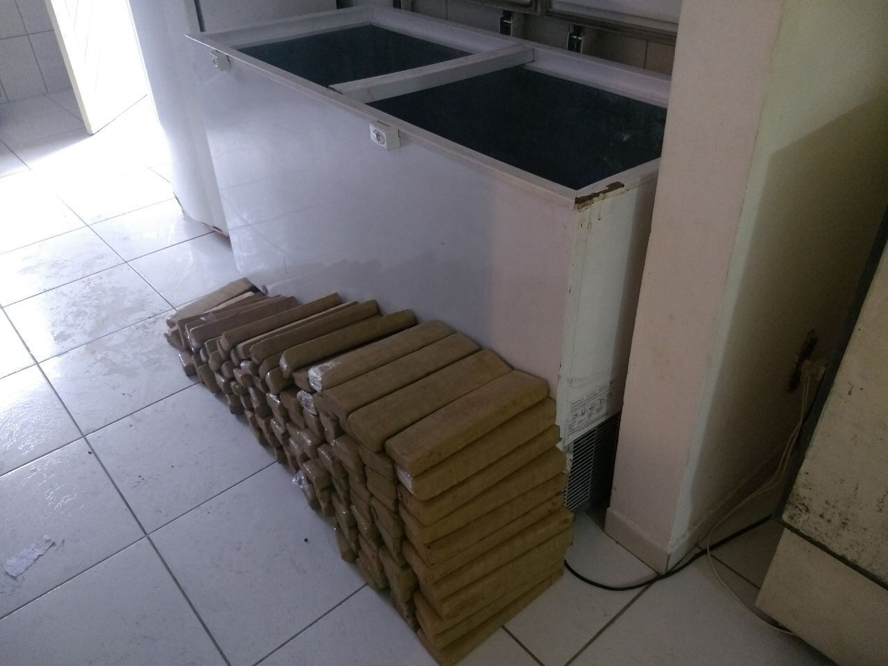 Além da maconha, a polícia informou que apreendeu munições de pistolas ponto 40 e 380