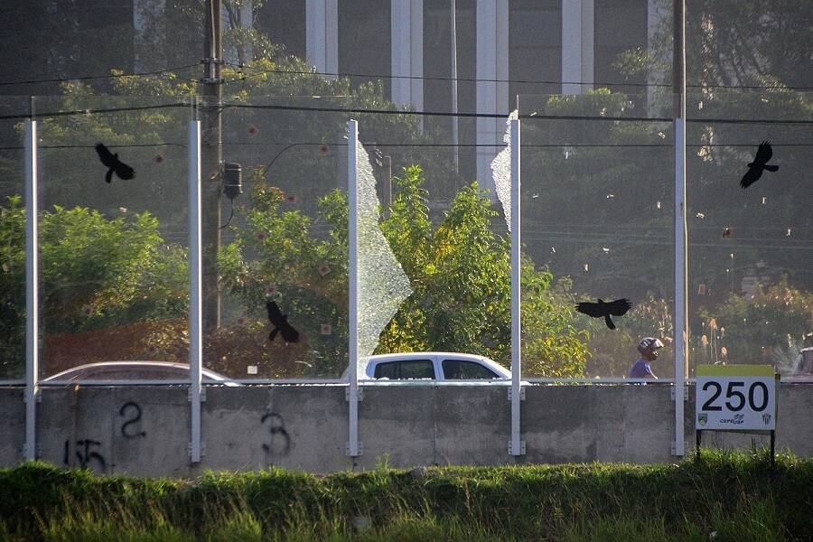 Vidros do muro de vidro da USP seguem quebrados na manhã desta quarta