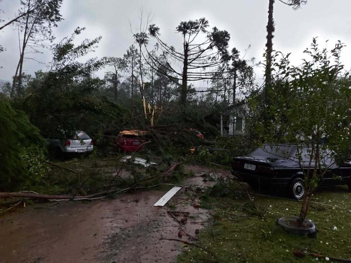 Tornado derrubou árvores, destruiu casas e carros e deixou feridos
