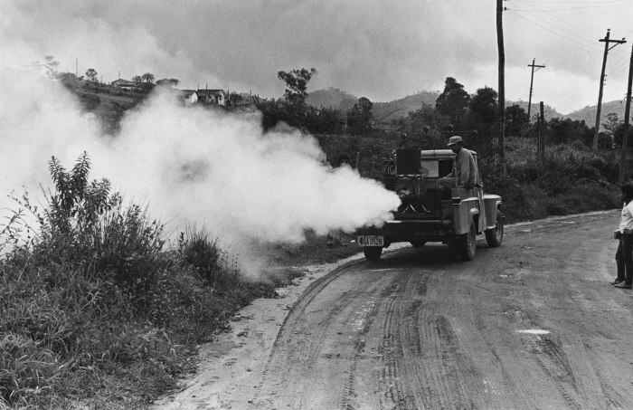 Política para erradicar mosquito era truculenta