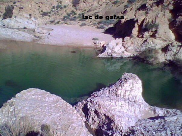 O fato de a água ser parada reforça uma das hipóteses dos cientistas, que dizem que o lago deve ter surgido após um abalo sísmico na região, que abriu uma rachadura e permitiu que a água do subterrâneo subisse para a superfície