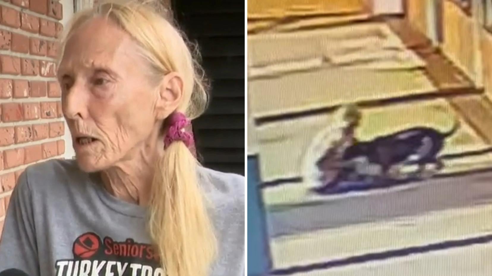 Shirley Pasamanick, de 70 anos, foi atacada ao sair do supermercado