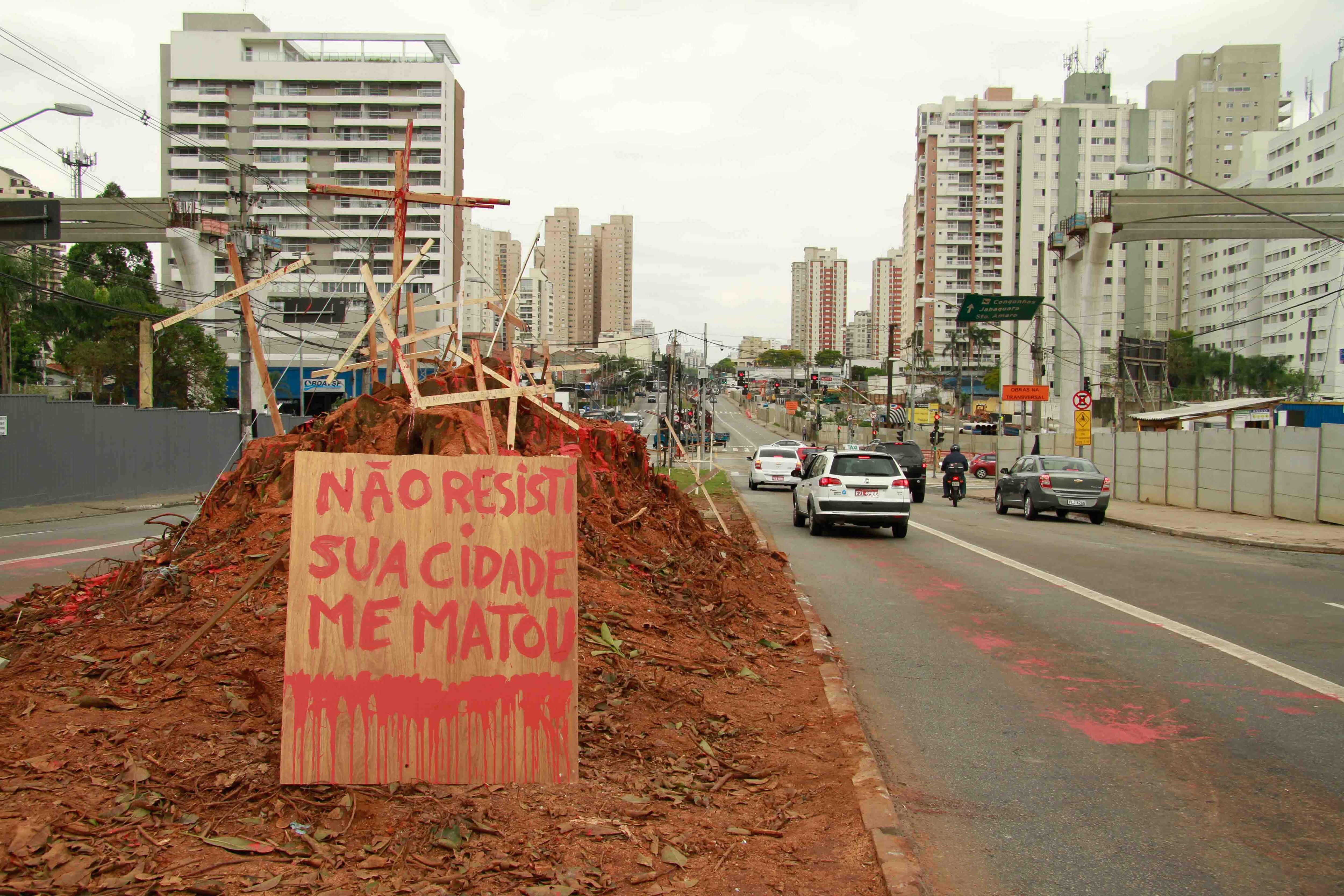Um grupo de moradores chegou a organizar um movimento para evitar que a árvore fosse retirada. Uma página em uma rede social, intitulada MSL (Movimento Seringueira Livre), também reuniu pessoas na luta contra a remoção

