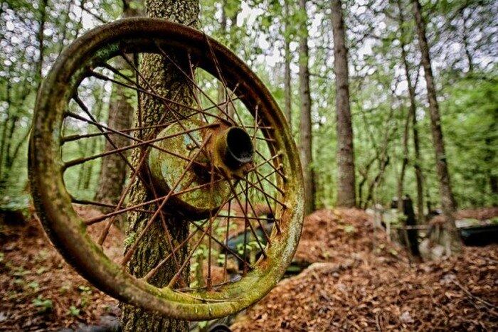 A lataria dos carros se mistura com a natureza