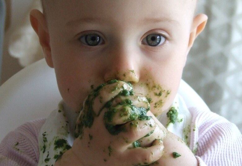 A consistência dos alimentos também gera polêmica e há muitas mamães que temem o engasgo. “Tanto a refeição como as frutas devem ser amassadas, sem peneirar ou liquidificar para não perder fibras e nutrientes. As carnes não precisam e nem devem ser retiradas após o cozimento, mas sim picadas, desfiadas ou tamisadas (cozida e amassada com as mãos), para que seja ofertada a quantidade adequada de ferro e zinco ao bebê”, orienta.