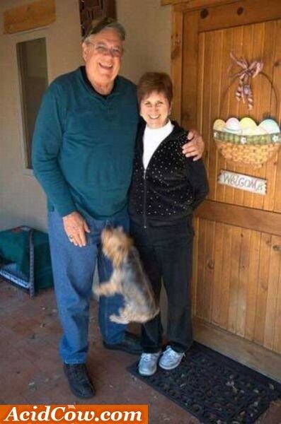 É, vovô. Treinou o cãozinho bem demais para correr atrás das bolinhas