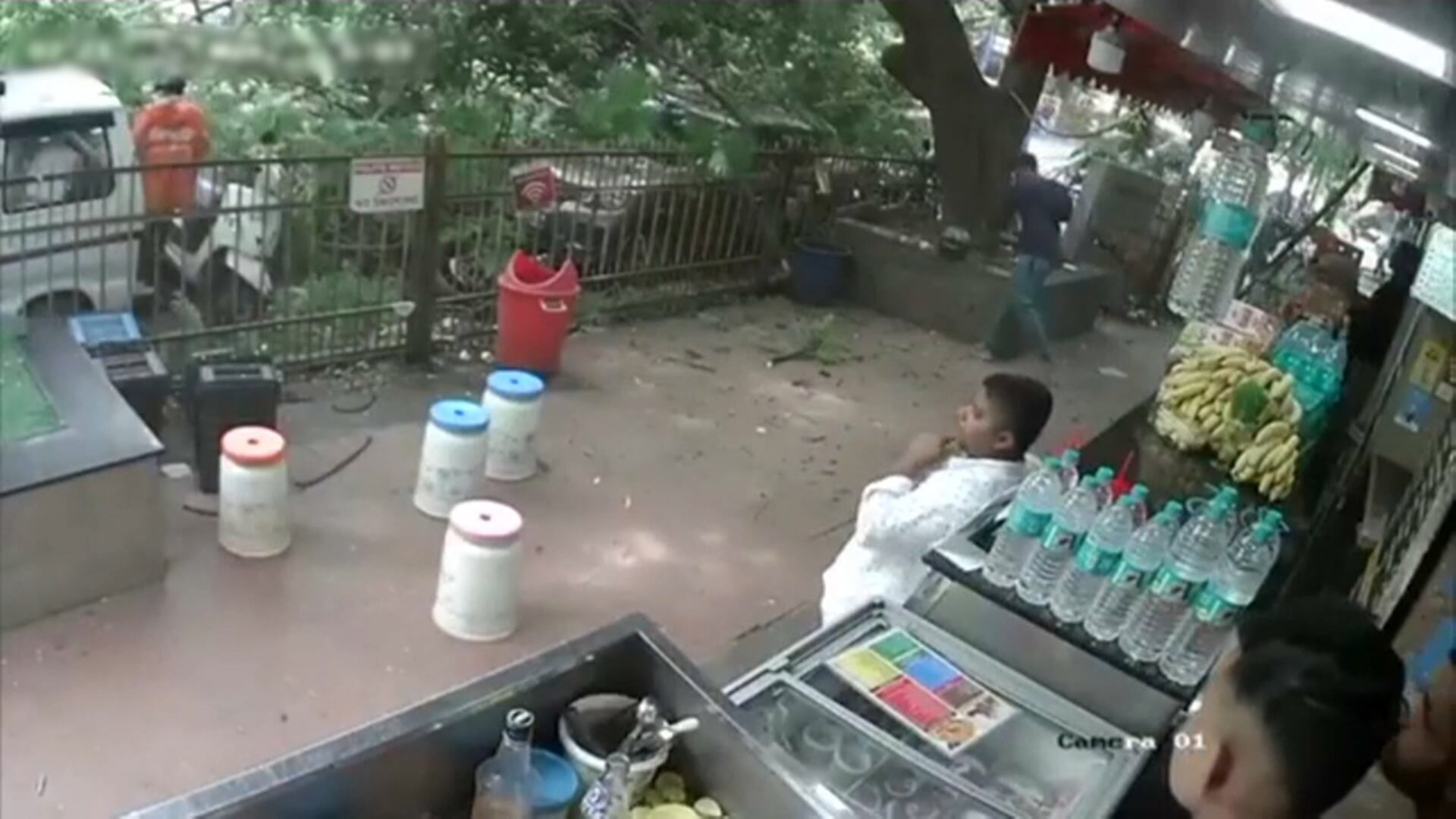 Queda de árvore de grande porte provoca pânico na Índia; veja o momento