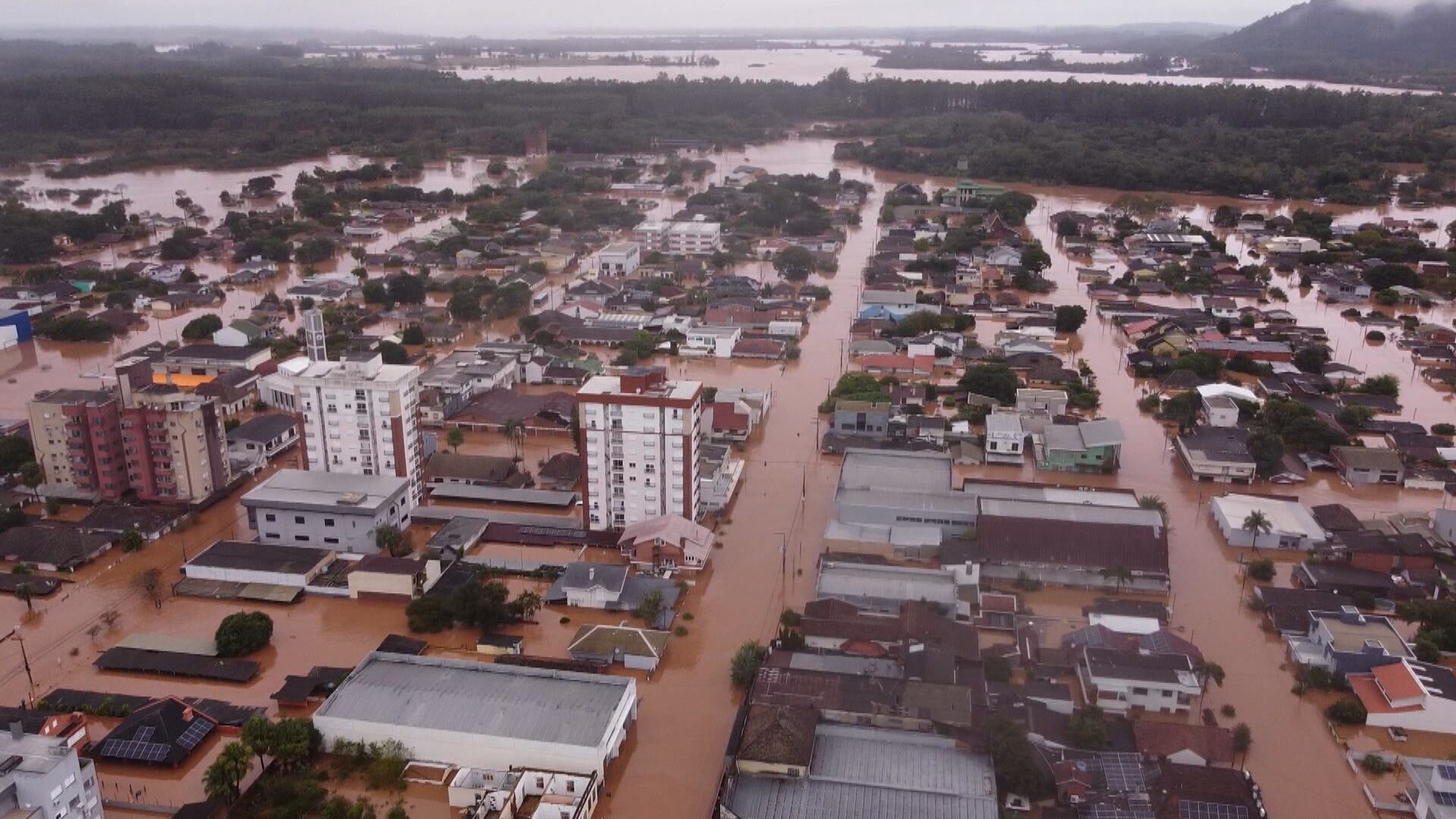 Precisamos 'trocar o cinza da cidade pelo verde’ para mitigar as mudanças climáticas, diz bióloga