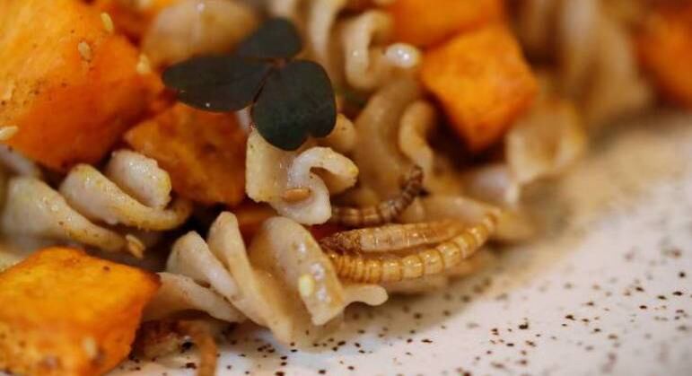 Restaurante francês serve pratos feitos com insetos e agrada clientes