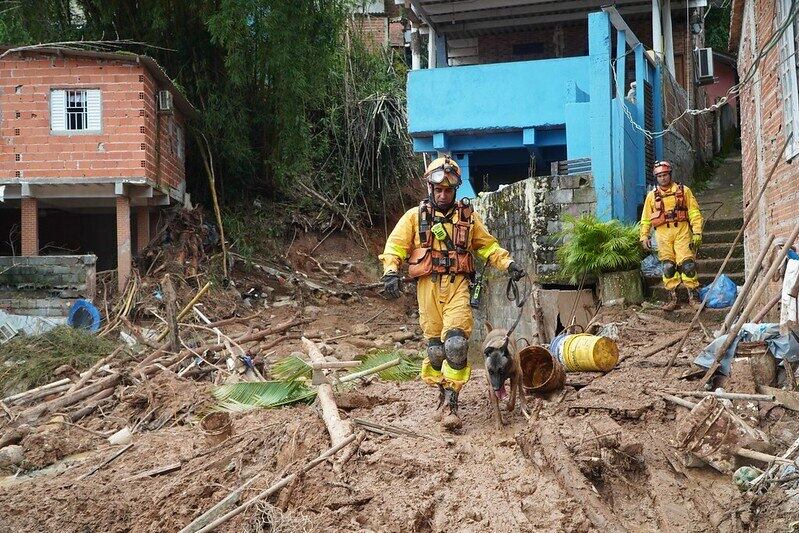 Cachorros da polícia fazem buscas em área atingida na Vila Sahy