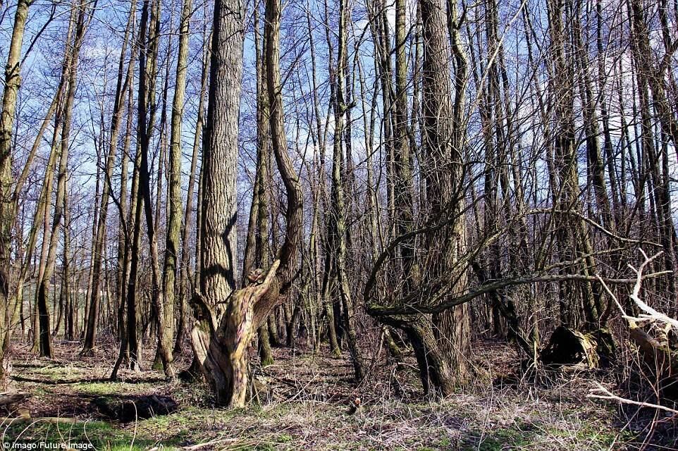 Nas fotos ele levou um kit de pintura portátil, para dar os retoques finais a estas imagens surpreendentes, com tintas especiais, de cores naturais