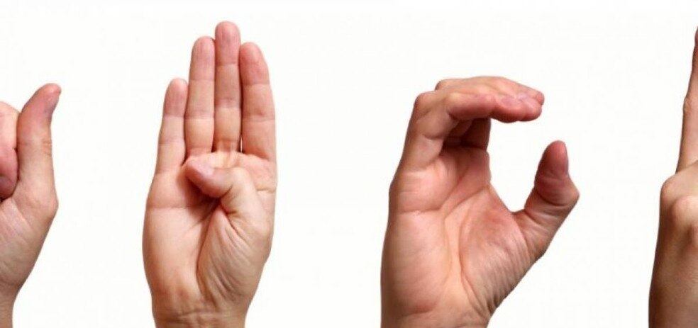 Curso de Libras para profissionais da área de Educação