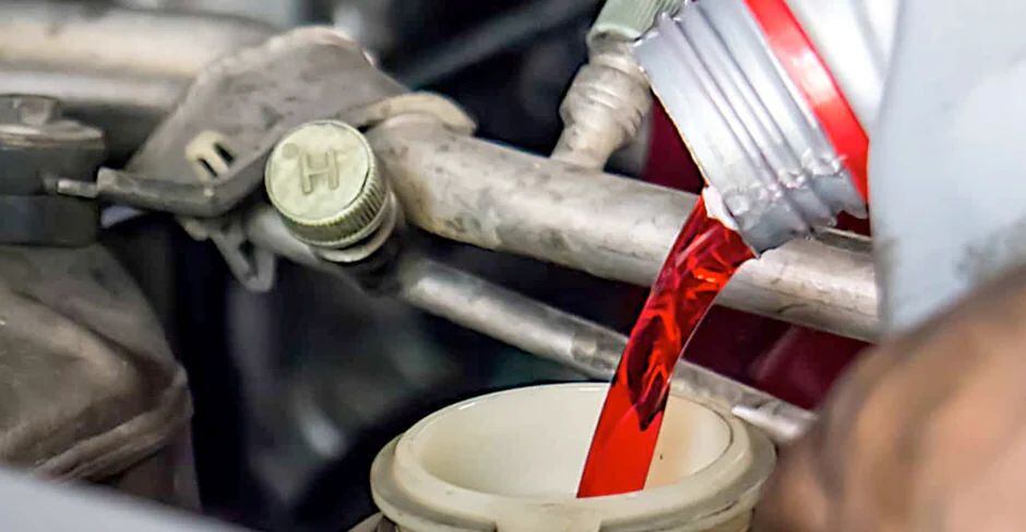 Freepik/Reprodução