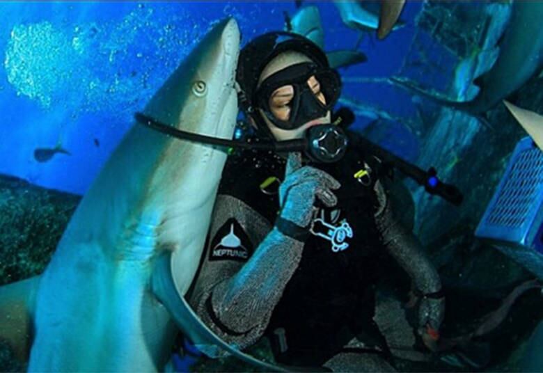 A profissão de mergulhador é considerada uma das mais perigosas, ainda mais para Raquel Rossa que mergulha para fotografar tubarões. Ela era modelo e abandonou a carreira para fazer o que mais ama. Confira a seguir tudo o que ela contou durante participação no Roberto Justus+

+ Mergulhadora Raquel Rossa fala sobre o desafio de fotografar tubarões
+ Acesse R7 Play e assista às íntegras dos programas da Rede Record
